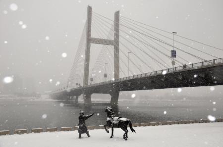       這是12月3日拍攝的吉林省吉林市臨江門大橋雪中景觀。